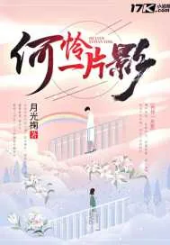 《何怜一片影》封面