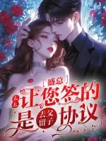 《盛总,太太让您签的是去父留子协议》小说封面
