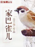 《家巴雀儿》封面