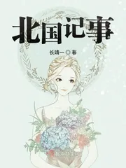 《北国记事》封面