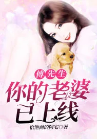 《傅先生，你的老婆已上线》封面
