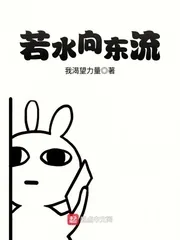 《若水向东流》封面