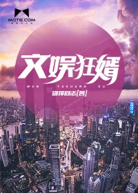《文娱狂婿》封面