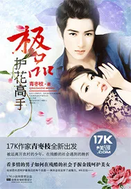 《极品护花高手》封面