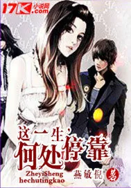 《这一生，何处停靠》封面