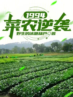 《1994：菜农逆袭》小说封面