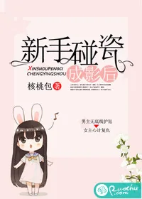 《新手碰瓷成影后》封面