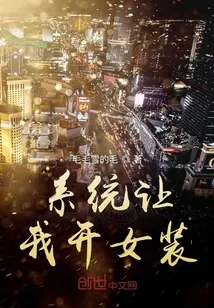 《系统让我开女装店》封面