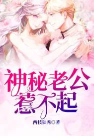 《神秘老公惹不起》封面