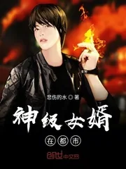 《神级女婿在都市》封面