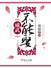 《威武不能娶》封面