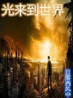 《光来到世界》小说封面
