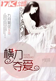 《横刀夺爱》封面