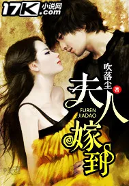 《夫人嫁到》封面