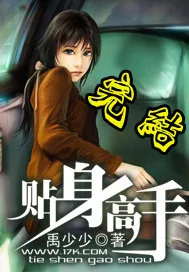 《贴身高手》封面