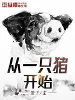 《从一只猪开始》封面