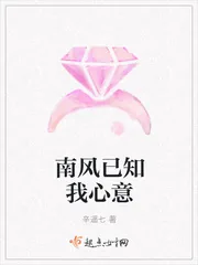 《南风已知我心意》封面