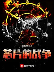《芯片的战争》封面