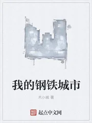 《我的钢铁城市》封面