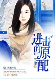 《进击的原配》封面