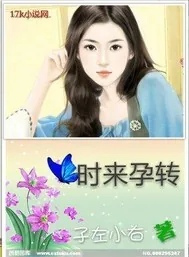 《时来孕转》封面
