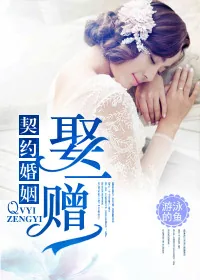 《契约婚姻，娶一赠一》封面