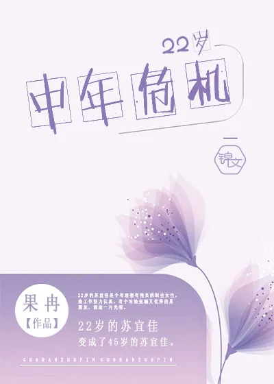 《22岁中年危机》封面