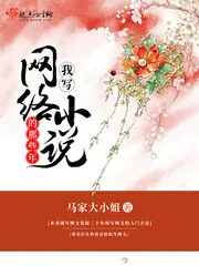 《我写网络小说的那些年》封面