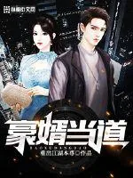 《豪婿当道》封面