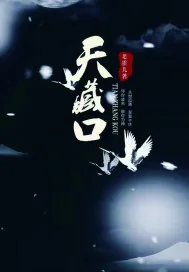 《天藏口》封面