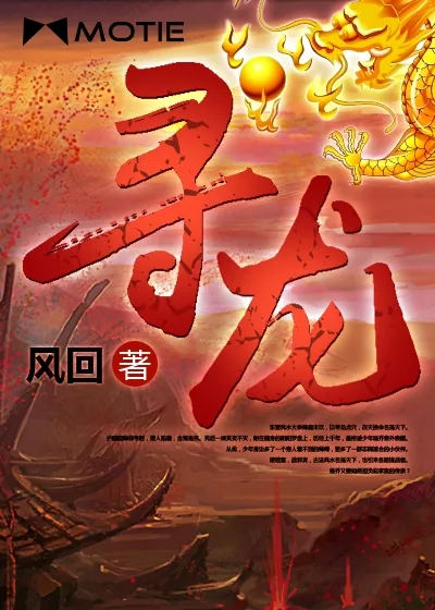 《寻龙》封面