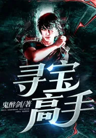 《寻宝高手》封面