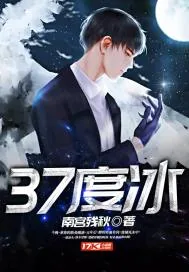 《37度冰》封面