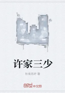 《许家三少》封面