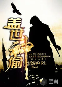 《盖世神偷》封面