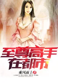 《至尊高手在都市.》封面