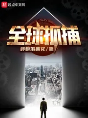 《全球抓捕》封面