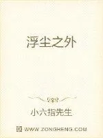 《浮尘之外》封面