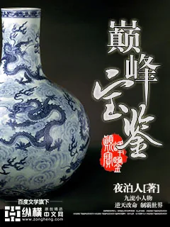 《巅峰宝鉴》封面