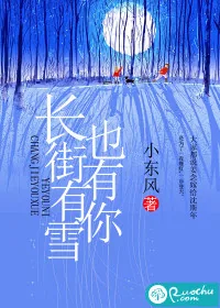 《长街有雪也有你》封面