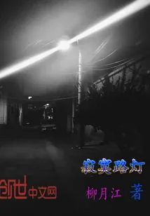 《寂寞路灯》封面