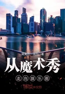 《从魔术秀走向娱乐圈》小说封面