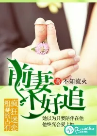 《前妻不好追》封面