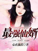 《最强仙婿》封面