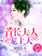 《首席大人，宠上天！》封面