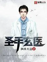 《圣手玄医》封面