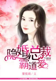 《隐婚总裁霸道爱》封面