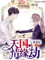 《天国情缘劫》封面
