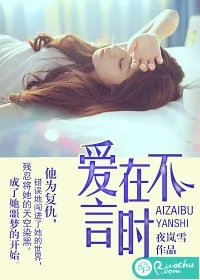 《爱在不言时》封面