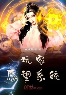 《玩家愿望系统》封面